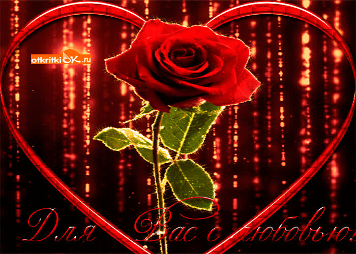 Картинка цветы для вас с любовью