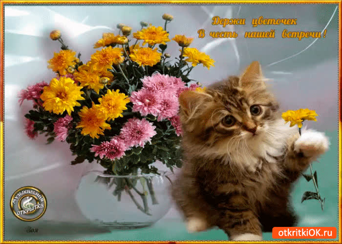 Картинка цветок в честь нашей встречи