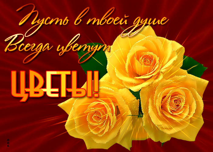 Открытка цветы сегодня для тебя