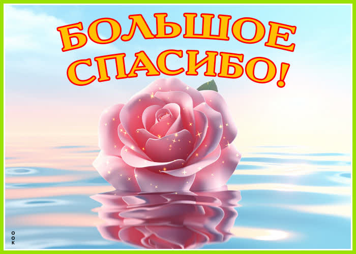Postcard творческая гиф-открытка с розой большое спасибо