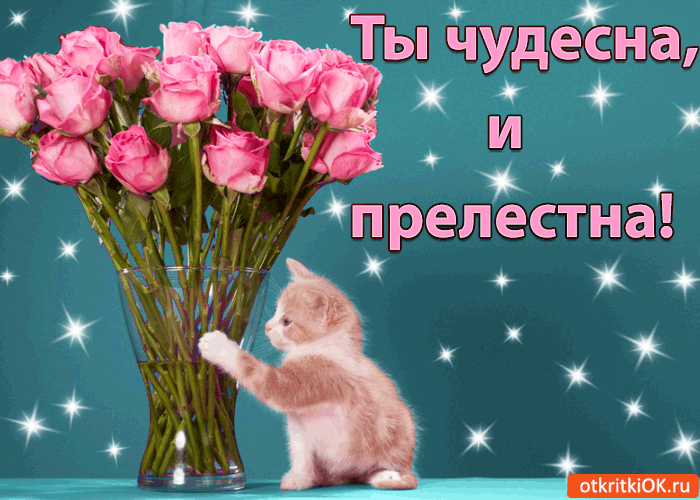 Картинка ты чудесна и прелестна!