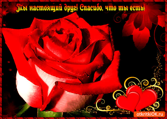 Картинка ты настоящий друг