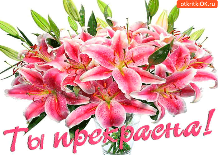 Картинка ты прекрасна словно лилия