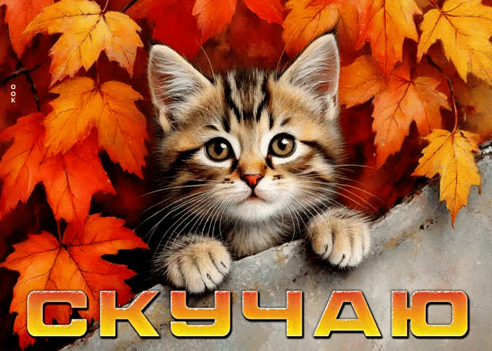 Postcard тёплая и добрая осенняя гифка скучаю