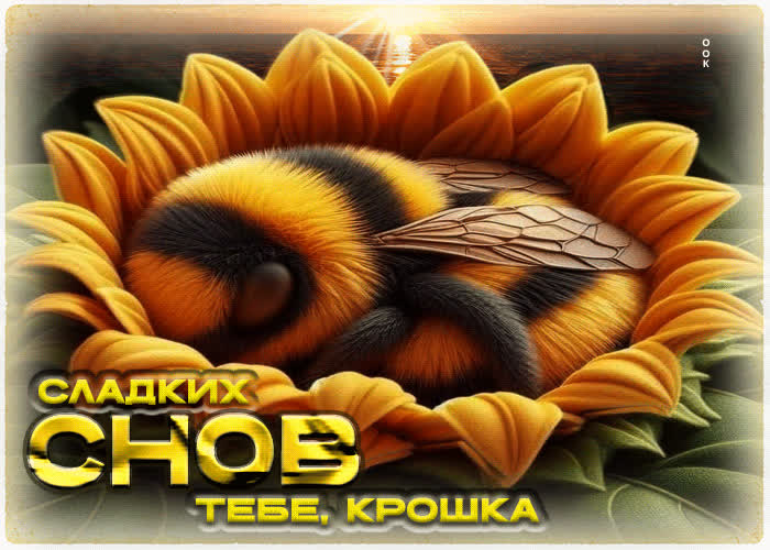 Postcard тёплая летняя гиф-открытка сладких снов тебе, крошка