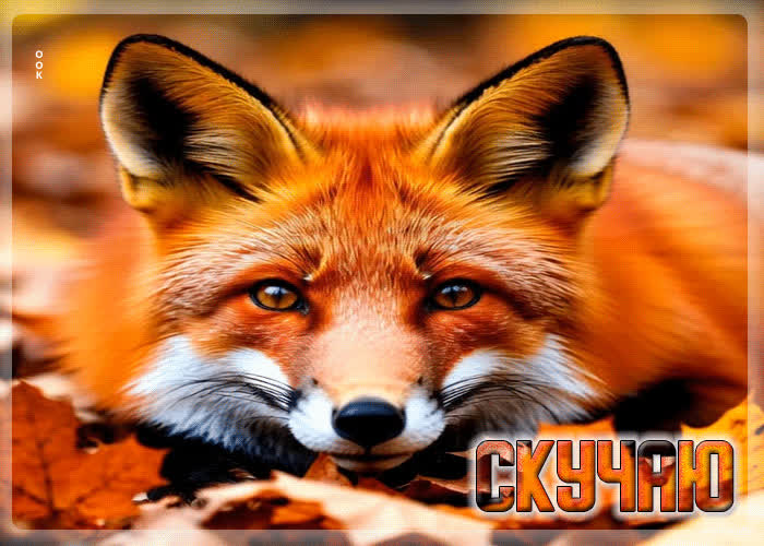 Postcard тёплая, солнечная осенняя гифка скучаю