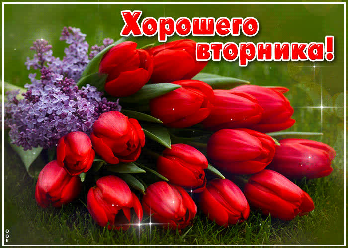 Picture тёплая весенняя открытка хорошего вторника