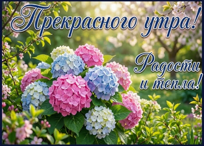 Picture тёплого утра и яркого дня!