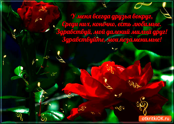 Картинка у меня всегда друзья вокруг