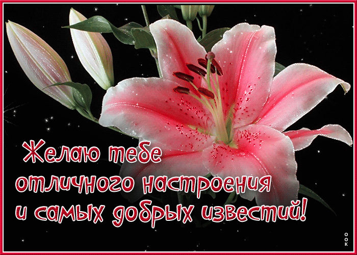 Картинка удачи, счастья, нежных слов