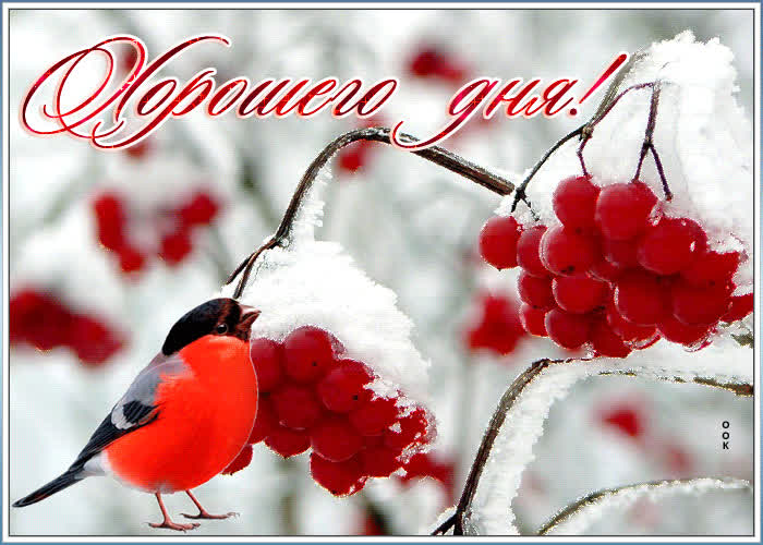 Картинка удачного тебе дня!