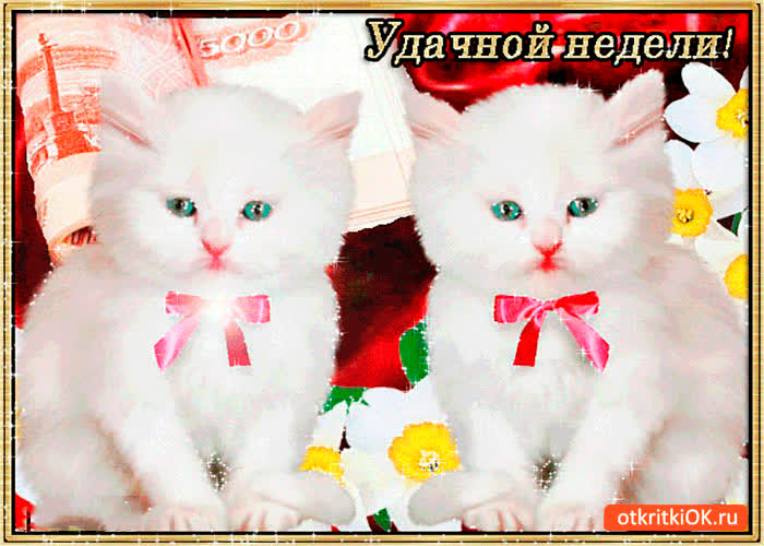 Картинка удачной и красивой недели