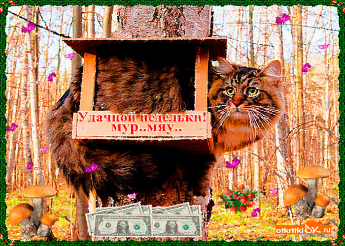 Картинка удачной и приятной всем недели