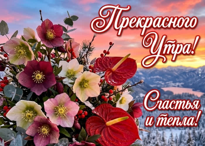 Postcard удачного дня желаю тебе