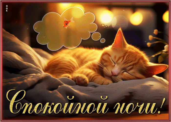 Picture удивительная и стильная гиф-открытка с котиком спокойной ночи