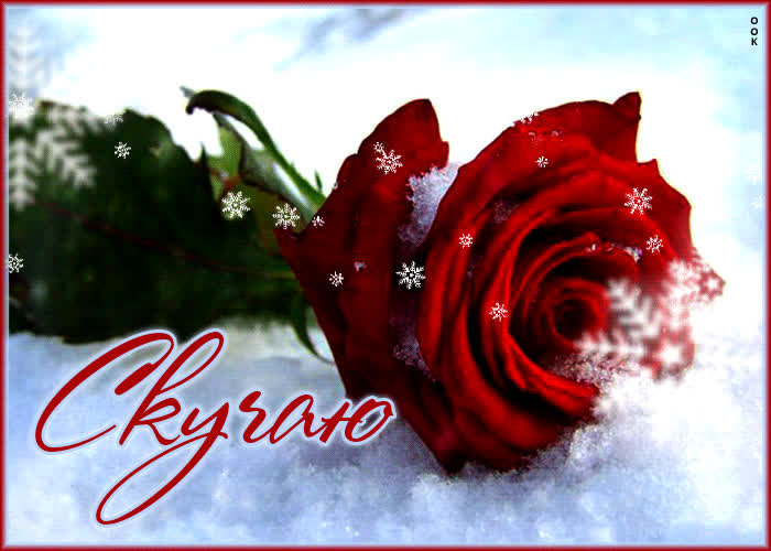 Postcard удивительная и яркая снежная гиф-открытка скучаю