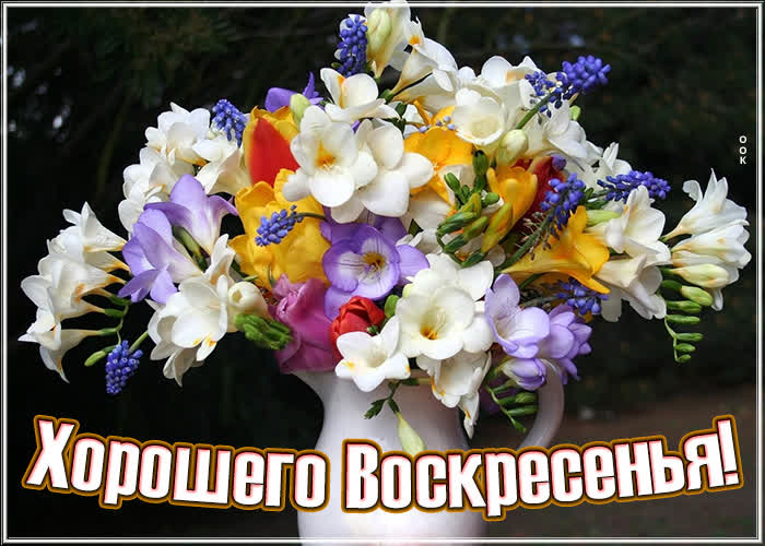 Картинка удивительная картинка хорошего воскресенья с красивыми цветами