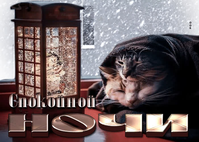 Картинка удивительная открытка спокойной ночи с кошками