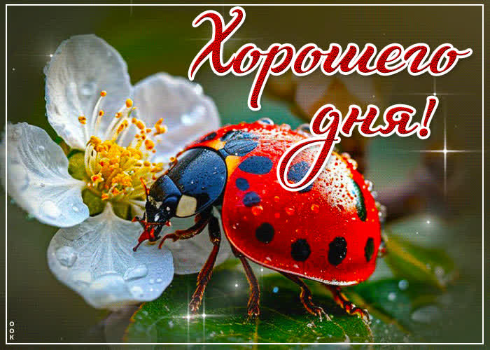 Picture удивительная, сказочная весенняя открытка хорошего дня