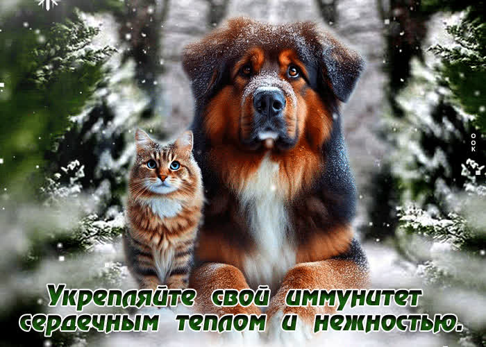 Postcard укрепляйте свой иммунитет сердечным теплом и нежностью