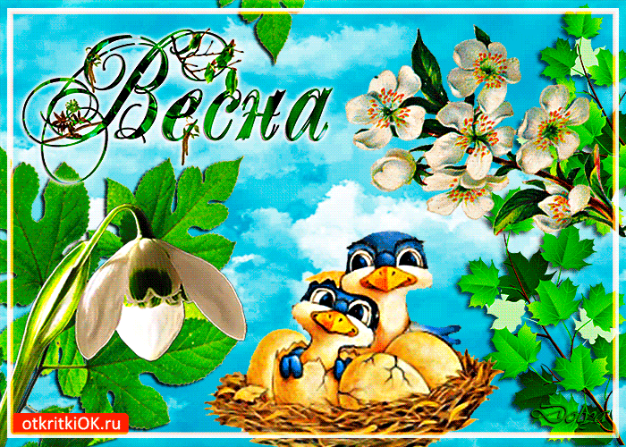 Картинка улетели холода и весна пришла сюда