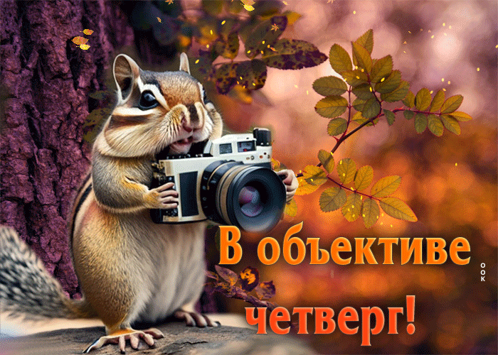 Picture улыбчивая анимационная открытка в объективе четверг!