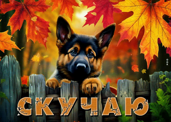 Picture улыбчивая и солнечная осенняя гифка скучаю