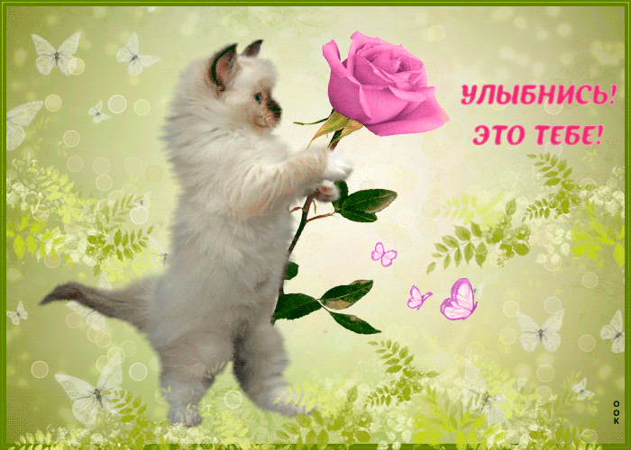 Картинка улыбнись эта роза тебе