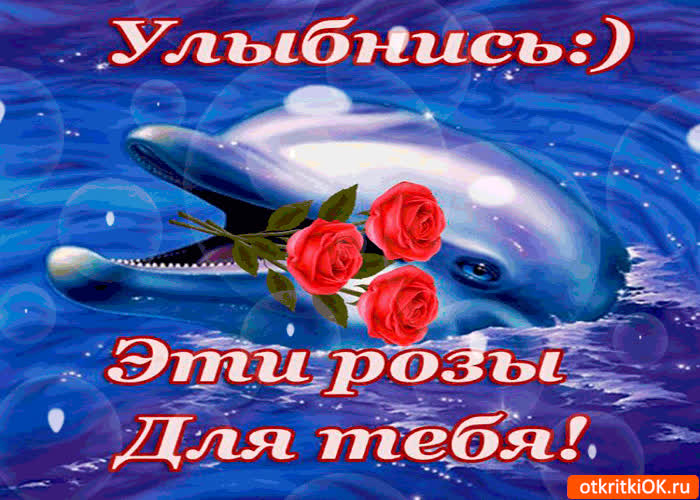 Картинка улыбнись! эти розы для тебя