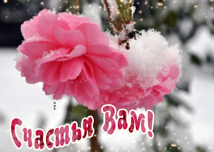 Картинка улыбнись! это всё тебе