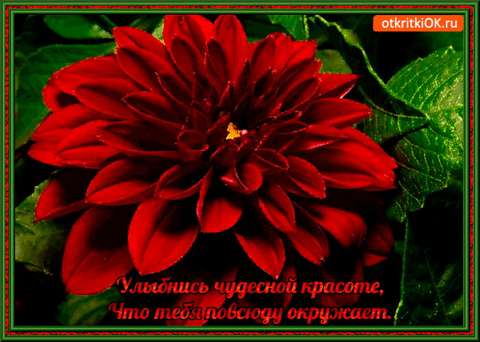 Открытка улыбнись красоте что тебя окружает