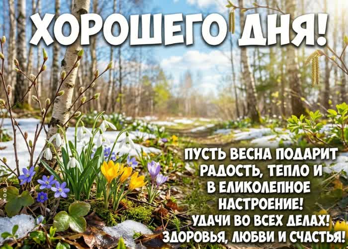 Postcard улыбок, тепла и маленьких чудес в каждом моменте!
