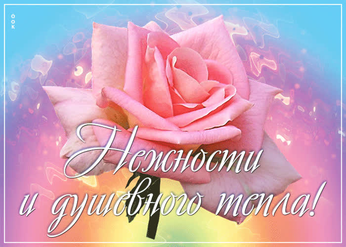 Postcard умиротворяющая анимационная открытка нежности и душевного тепла