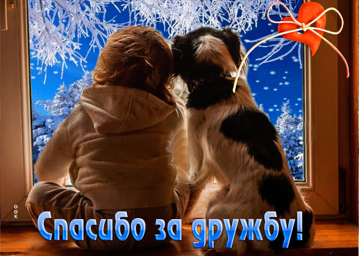 Picture умопомрачительная открытка спасибо за дружбу