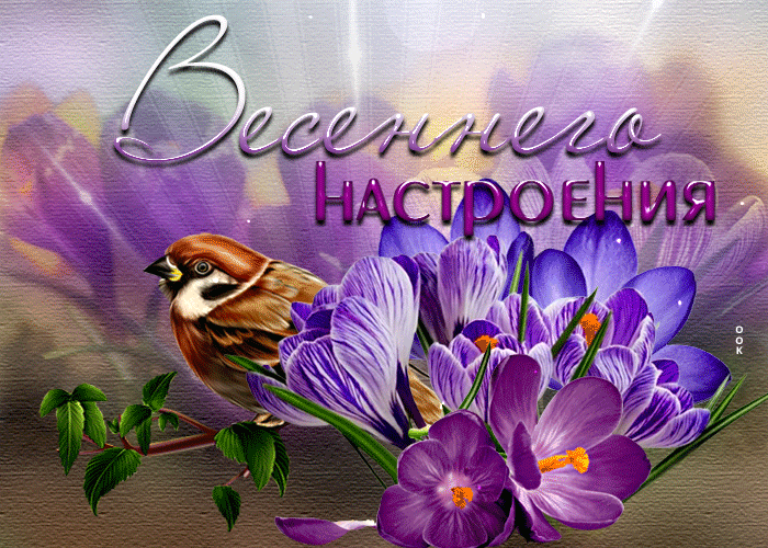 Picture уникальная открытка весеннего настроения! с птичкой