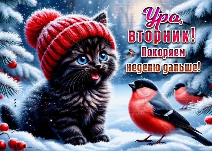 Postcard ура, вторник! покоряем неделю дальше