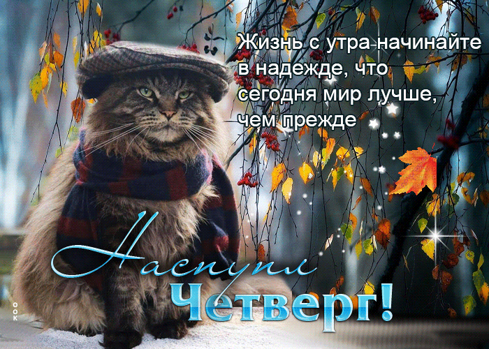 Postcard утонченная анимационная открытка наступил четверг
