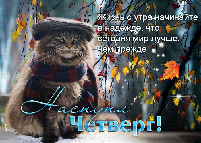 Postcard утонченная анимационная открытка наступил четверг