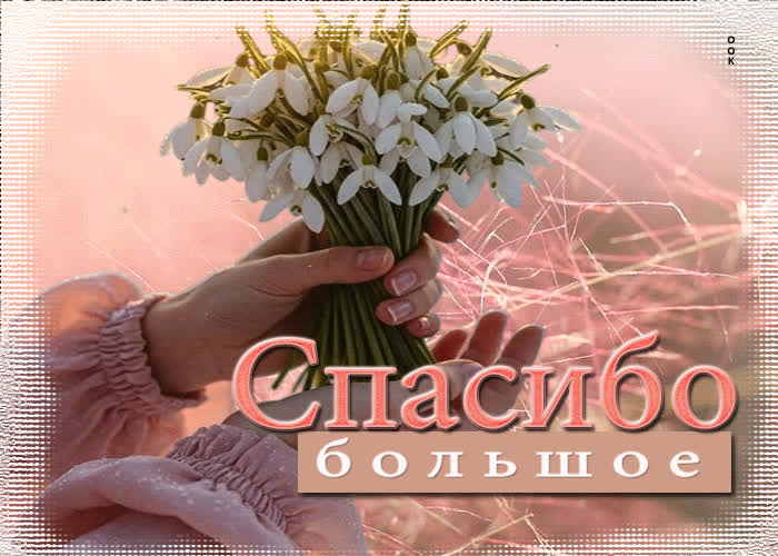 Postcard утонченная, вдохновенная весенняя открытка спасибо большое