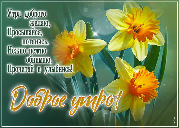 Postcard утра доброго желаю, просыпайся, потянись