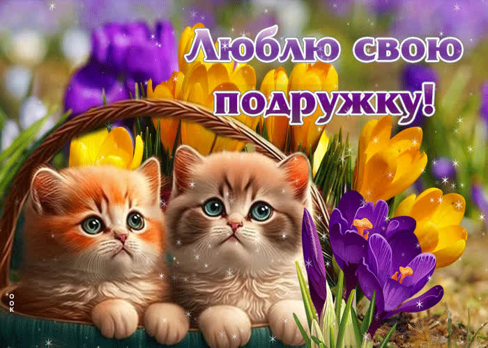 Postcard увлекательная и привлекательная гиф-открытка люблю свою подружку