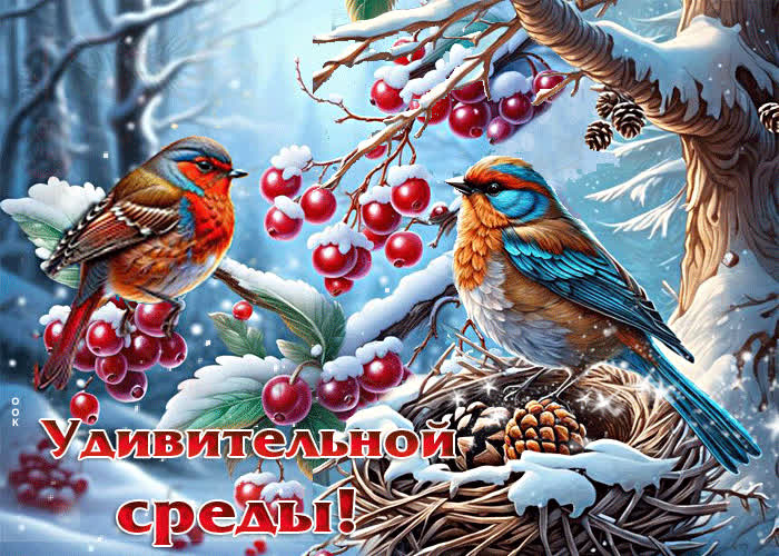 Picture уютная и вдохновляющая зимняя гиф-открытка удивительной среды