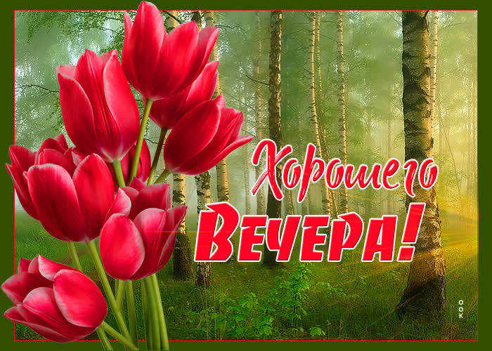 Картинка уютного и доброго вечера!