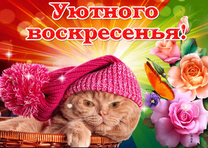 Картинка уютного воскресенья