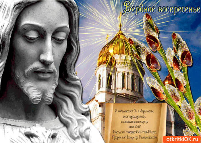 Картинка в вербное воскресенье - верба цветет