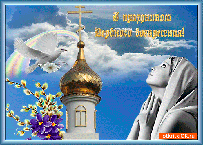 Картинка в вербное воскресенье - желаю вам добра