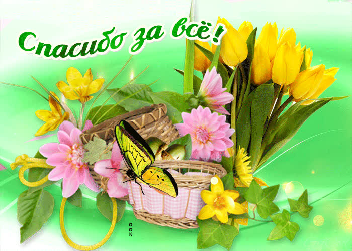 Картинка в знак моей признательности