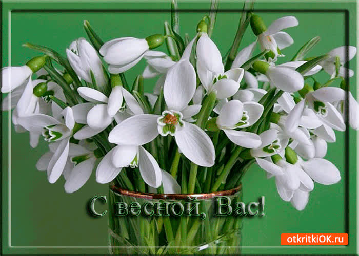 Картинка вас друзья с весной