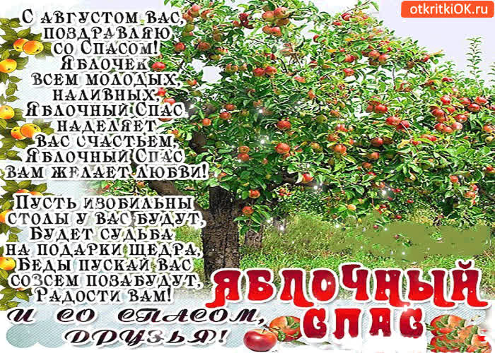 Картинка вас поздравляю со спасом!