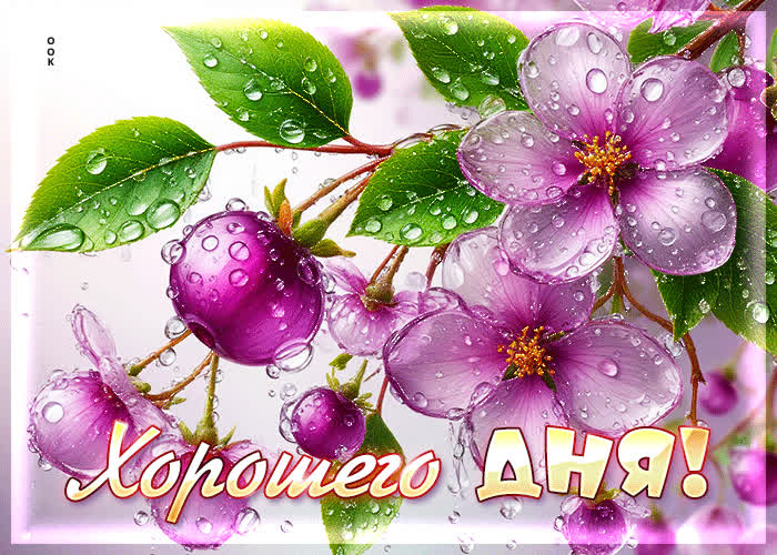 Picture вдохновенная, цветущая весенняя гиф-открытка хорошего дня